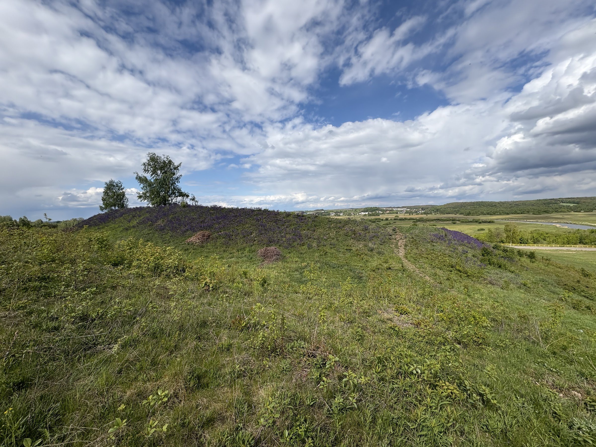 Queen Bona's Mountain (Góra Bony)